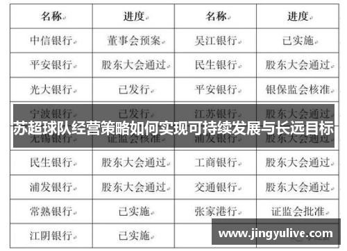 苏超球队经营策略如何实现可持续发展与长远目标